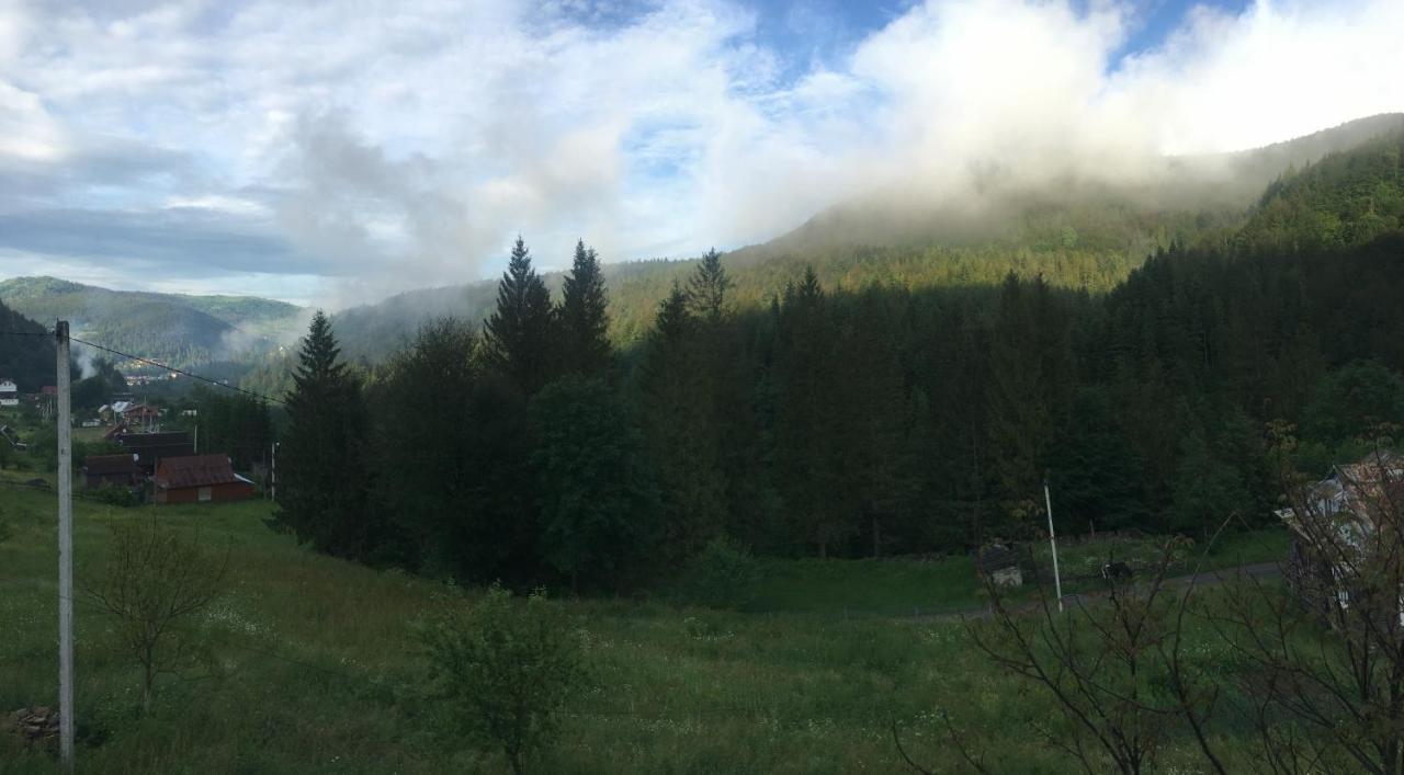 Котедж Mountain house Яремча Экстерьер фото
