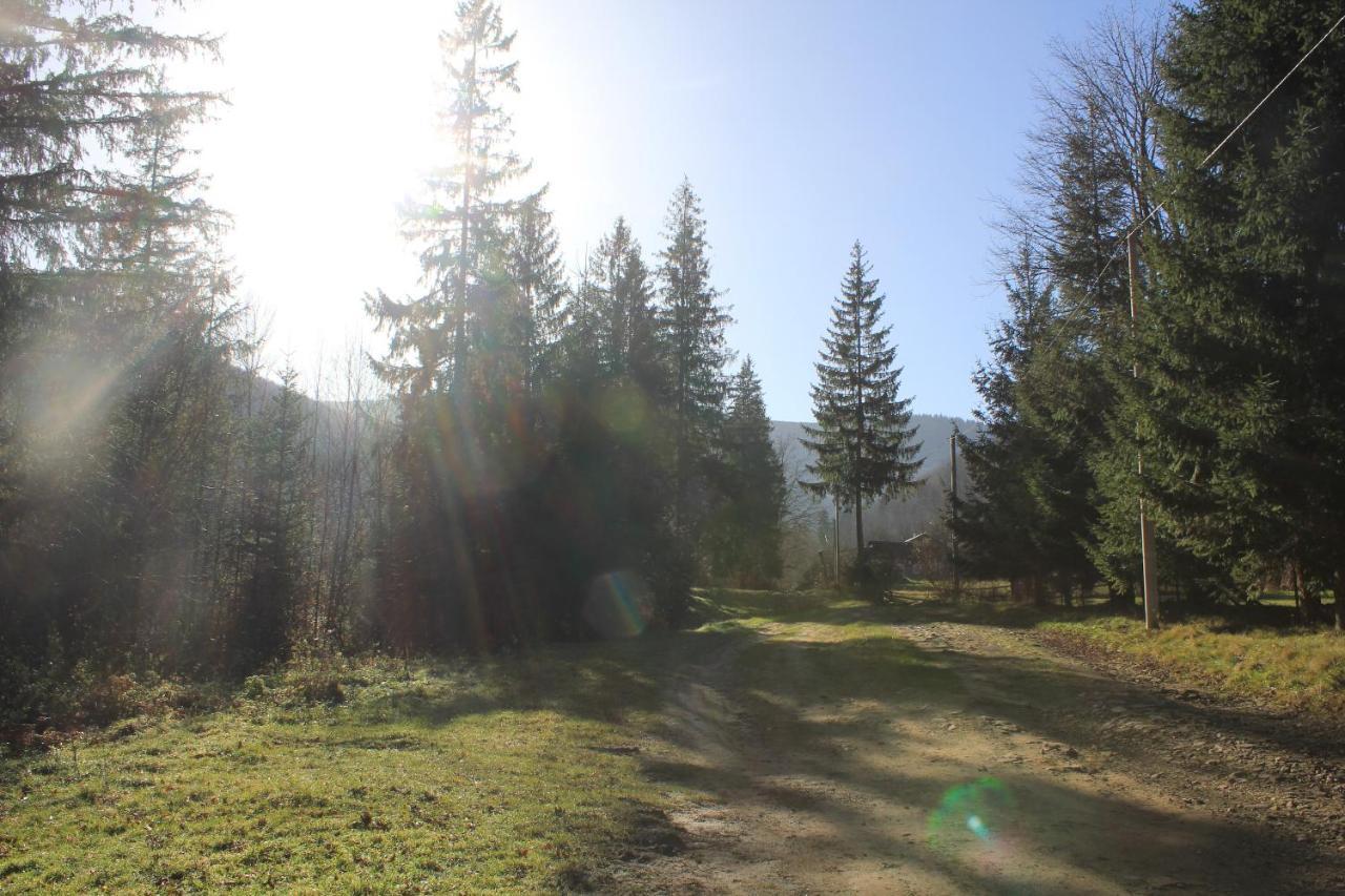 Котедж Mountain house Яремча Экстерьер фото